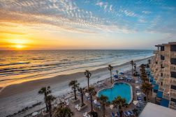 The Shores